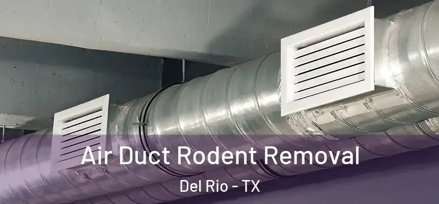 Air Duct Rodent Removal Del Rio - TX