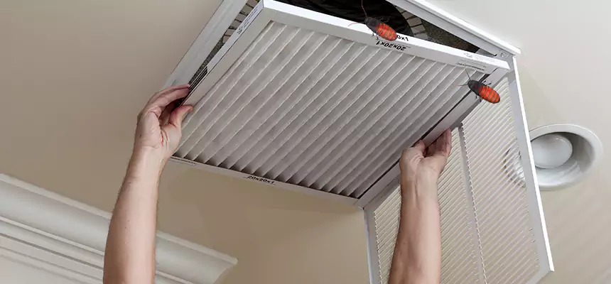 Preventive Cockroach-Proofing for Ducts in Del Rio