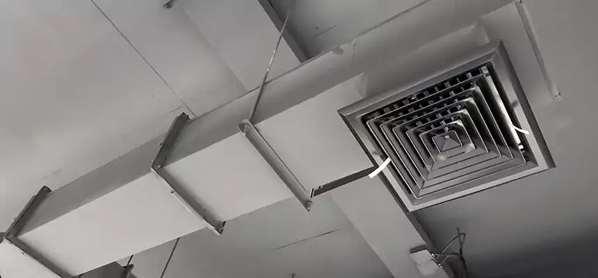 Our Rodent Droppings In Vents Services in Del Rio, TX