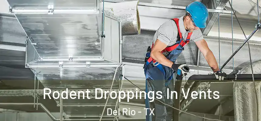 Rodent Droppings In Vents Del Rio - TX