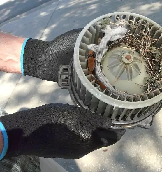 About Air Duct Mice Removal in Del Rio, TX