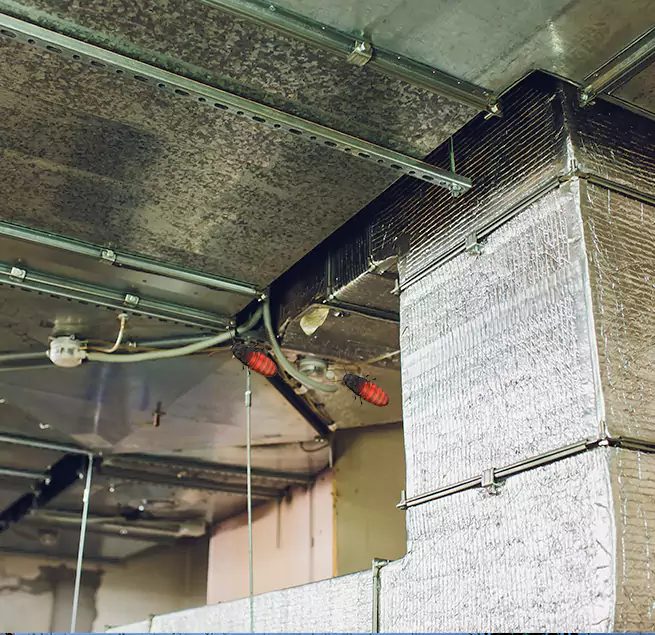 Why Homeowners & Businesses Trust Us Del Rio, TX?